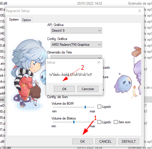 Janela Ragnarok Setup com a API Grafica em DirectX 9